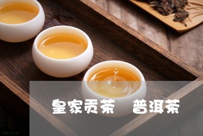 皇家贡茶 普洱茶/2023041371486